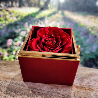 To My Shieldmaiden - I Love You To Valhalla And Back - Love Knot with Rotating Rose Gift Box