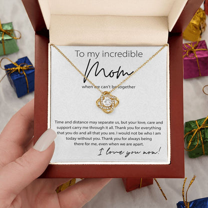 To My Incredible Mom, I Would Not Be Who I Am Today Without You - 011md